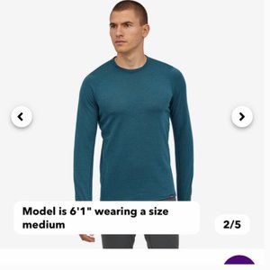 Patagonia Men's Capilene® Thermal Weight Crew -Lagom blue